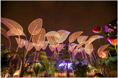 ¶�������Ӿ����ר�������������Ϣ�أ�