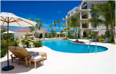 ����ͥԺ�ǽ�Ӿ�غ��վ���غ��أ�һ����������ˣ�