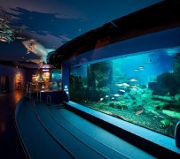 �������ô�����ע���⼸��Ҫ���������Ʒ�ʺ������磡