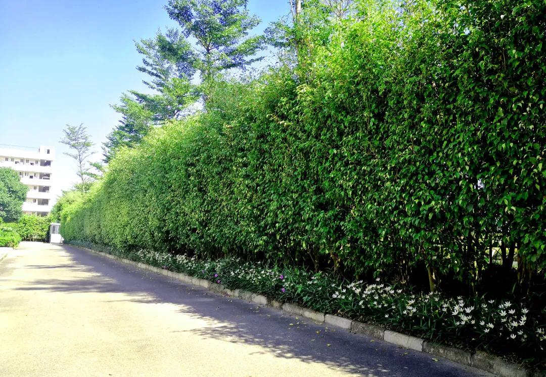 PG���ӡ�(�й�)�ٷ���վ