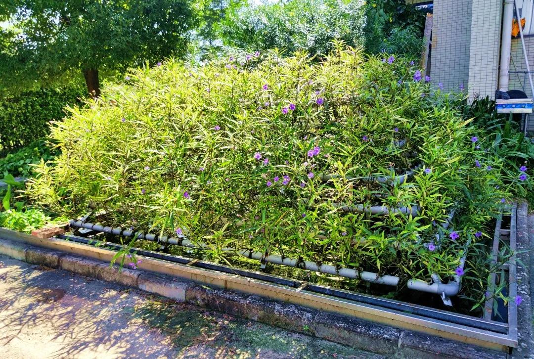 PG���ӡ�(�й�)�ٷ���վ